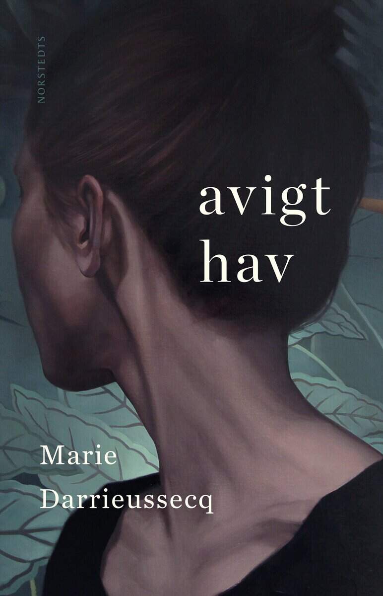 Marie Darrieussecq : Avigt hav