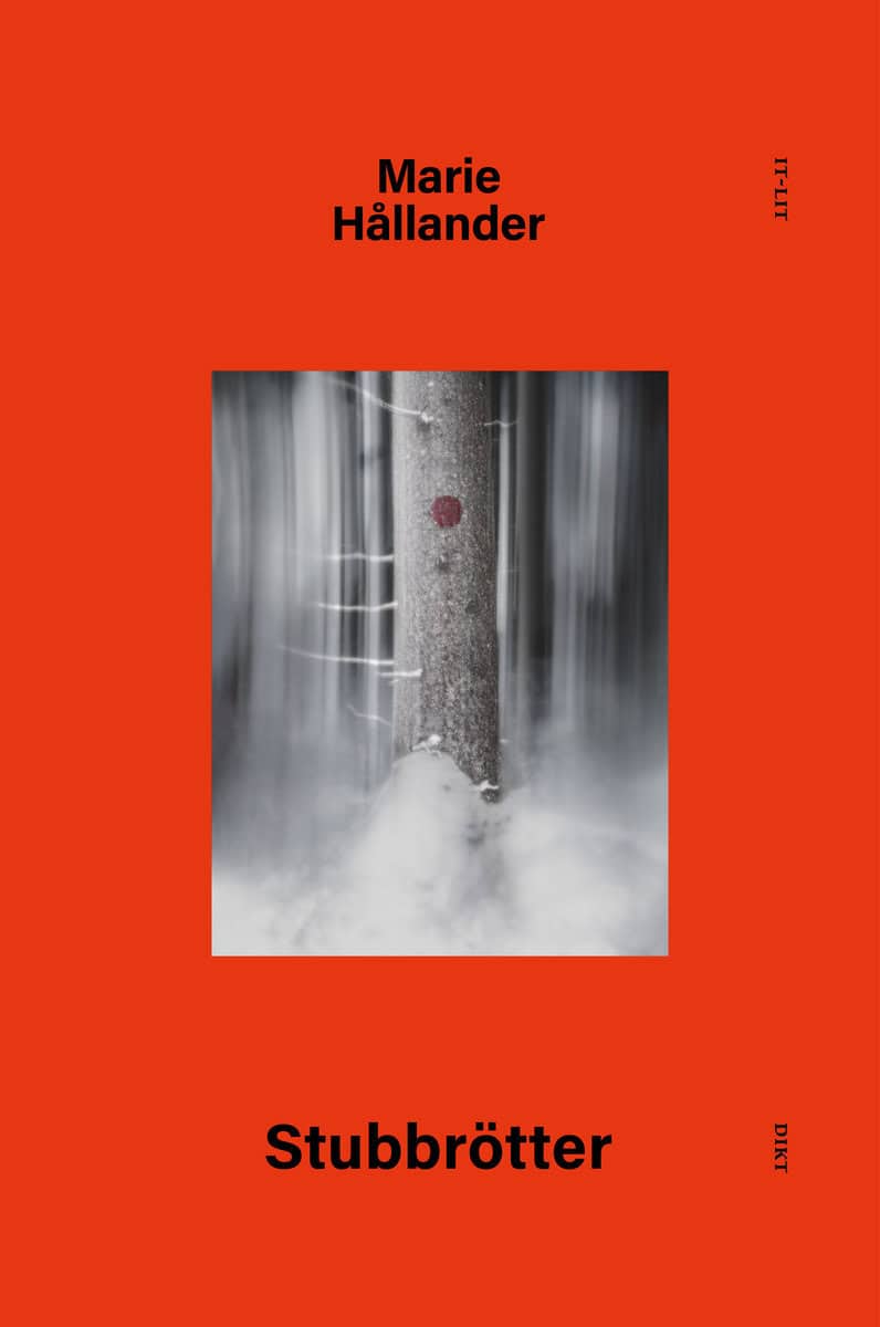 Marie Hållander : Stubbrötter