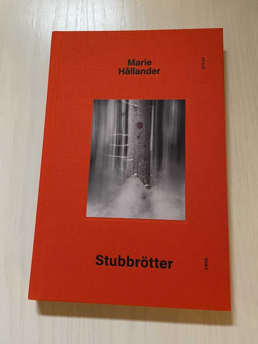 Marie Hållander : Stubbrötter dikt