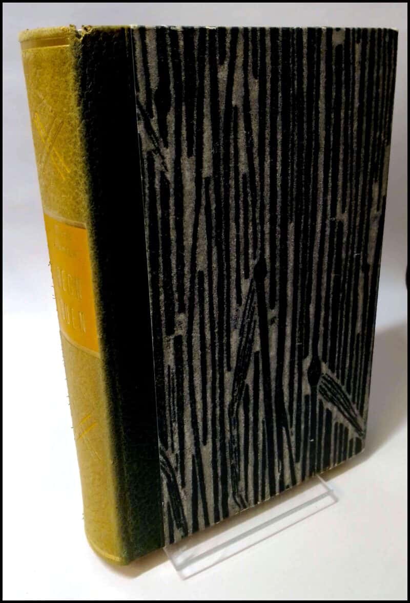 Marie Hamsun : Regnbuen