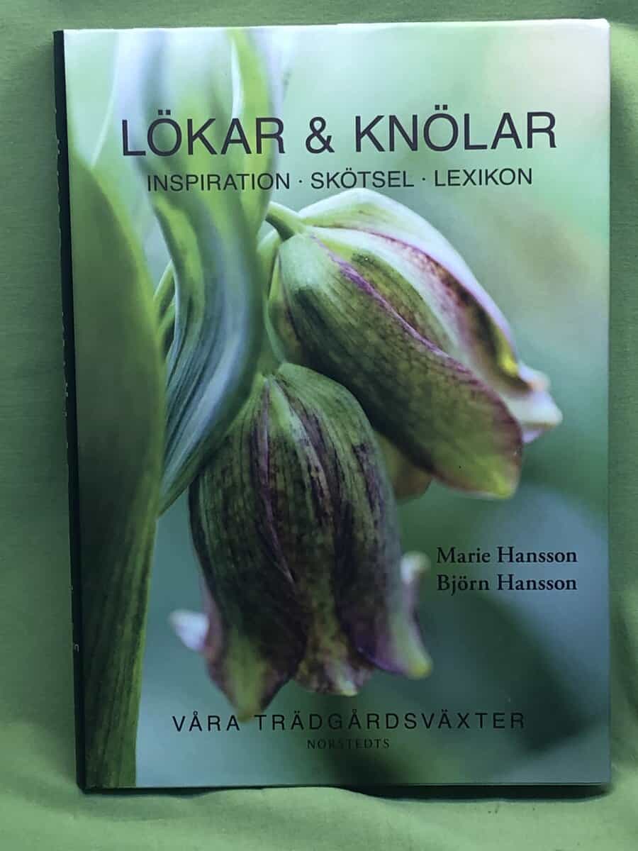 Marie Hansson : Lökar & knölar