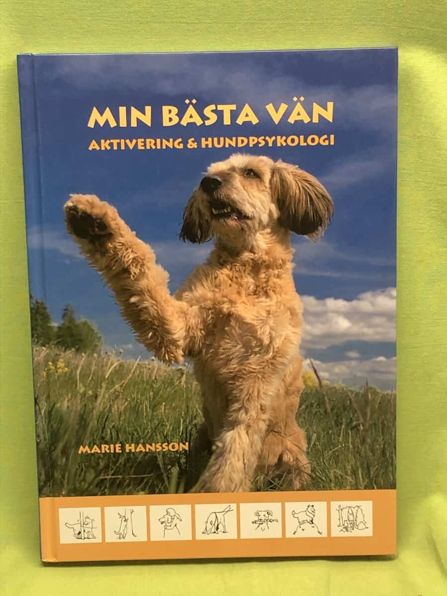 Marie Hansson : Min bästa vän