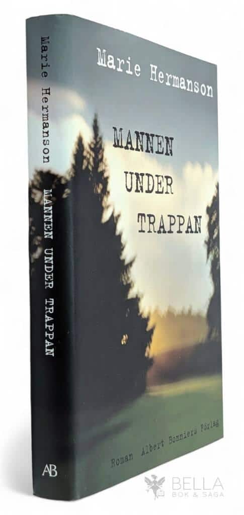 Marie Hermanson : Mannen under trappan