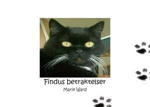 Marie Ward : Findus betraktelser