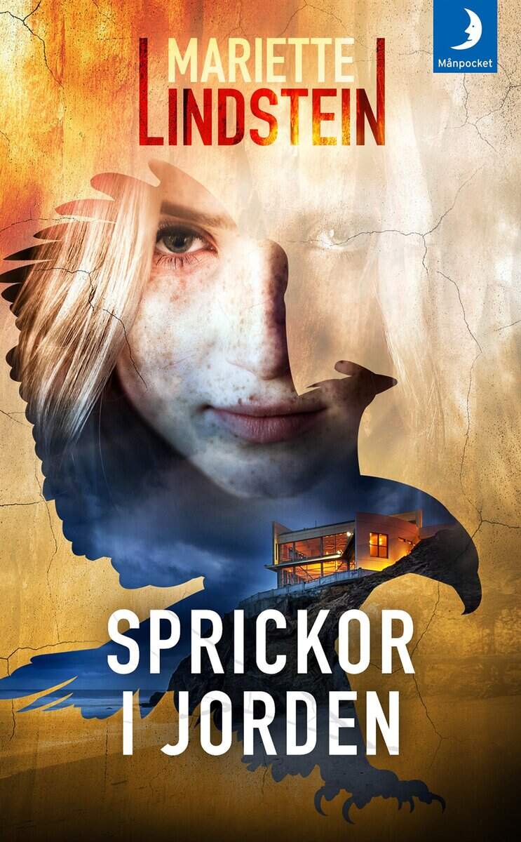 Mariette Lindstein : Sprickor i jorden