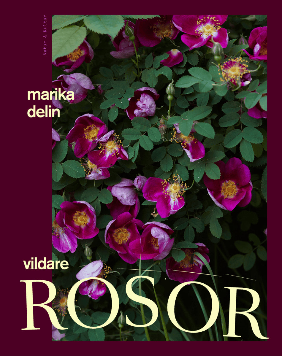 Marika Delin : Vildare rosor