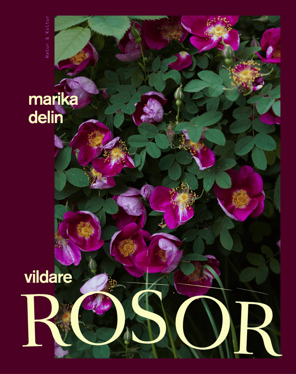 Marika Delin : Vildare rosor