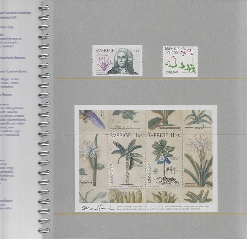 Marita Jonsson : Carl von Linné