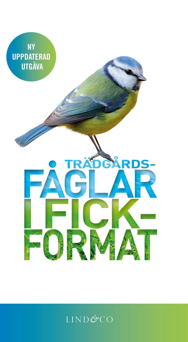 Mark Ward : Trädgårdsfåglar i fickformat