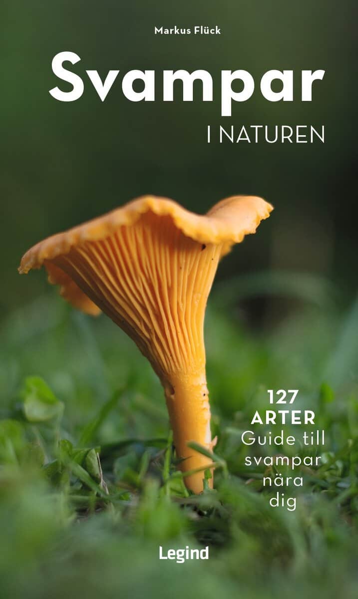 Markus Flück : Svampar i naturen : 127 arter - guide till svampar nära dig