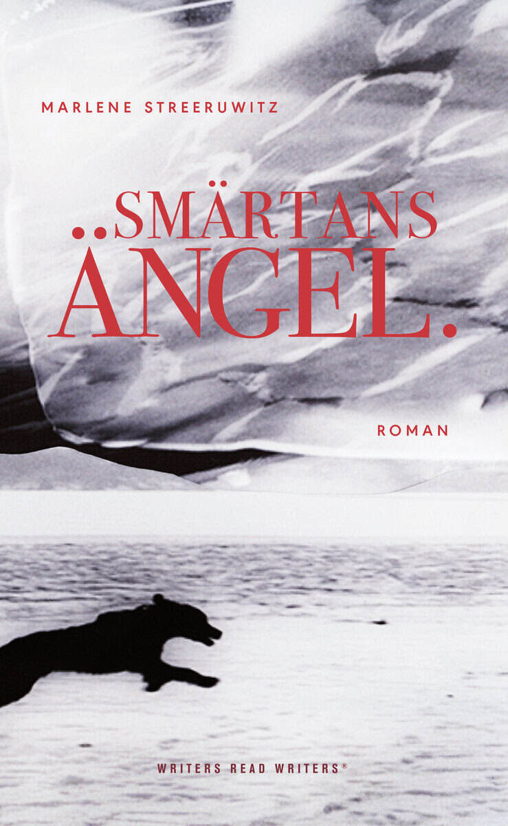 Marlene Streeruwitz : Smärtans ängel