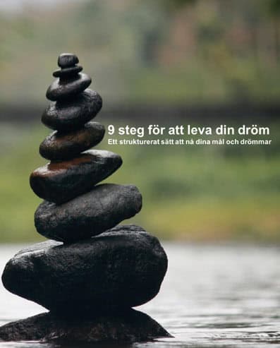 Martin Allmér : 9 steg för att leva din dröm