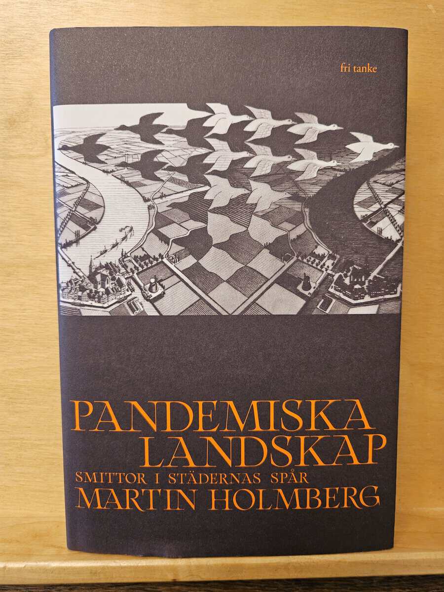 Martin Holmberg : Pandemiska landskap