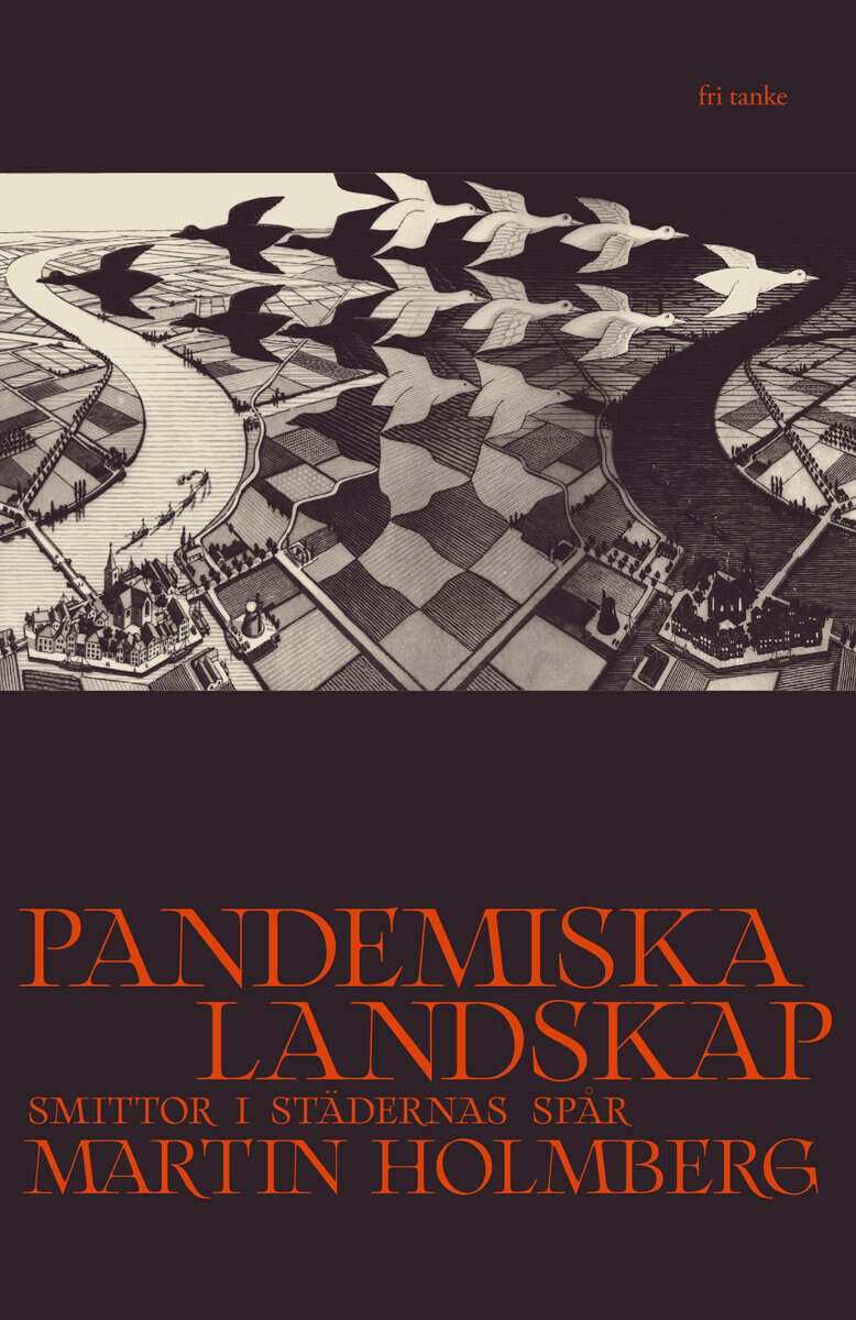 Martin Holmberg : Pandemiska landskap : smittor i städernas spår