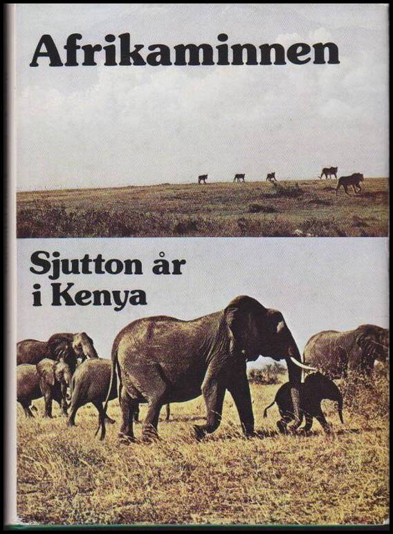 Martin Lundström : Afrikaminnen