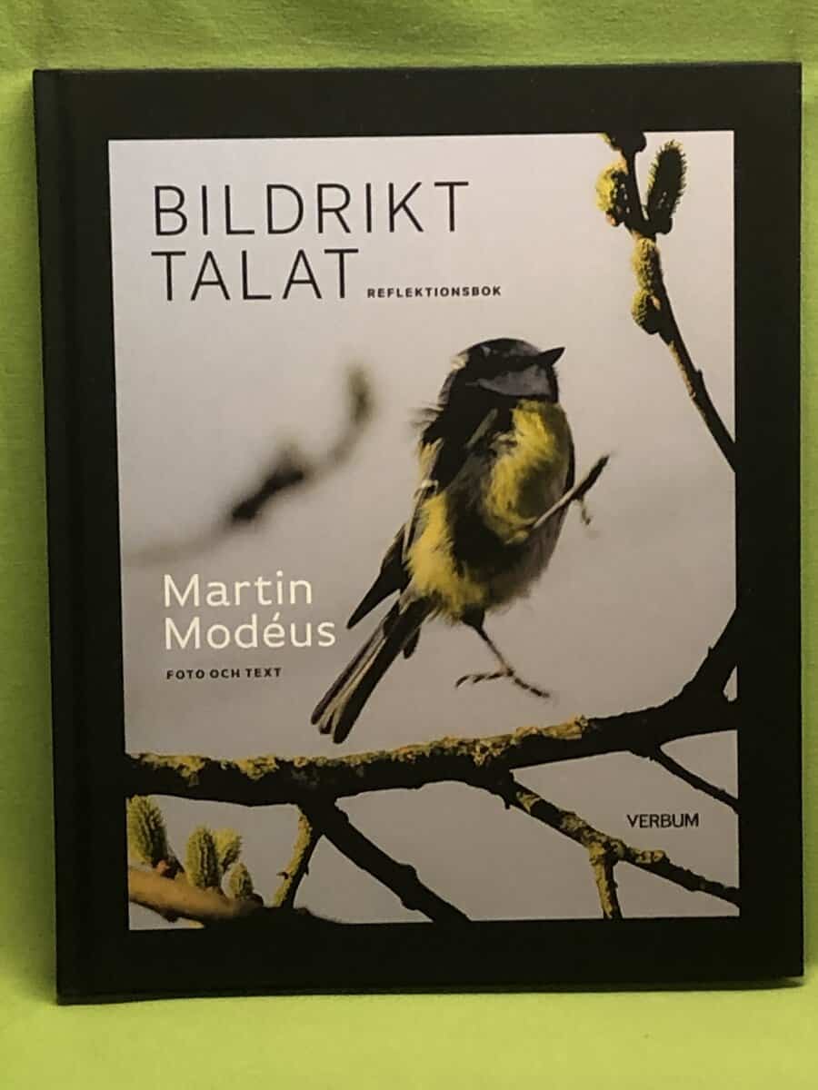 Martin Modéus : Bildrikt talat