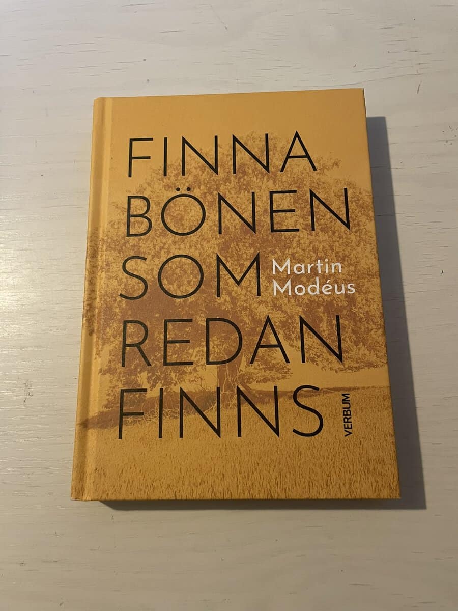 Martin Modéus : Finna bönen som redan finns