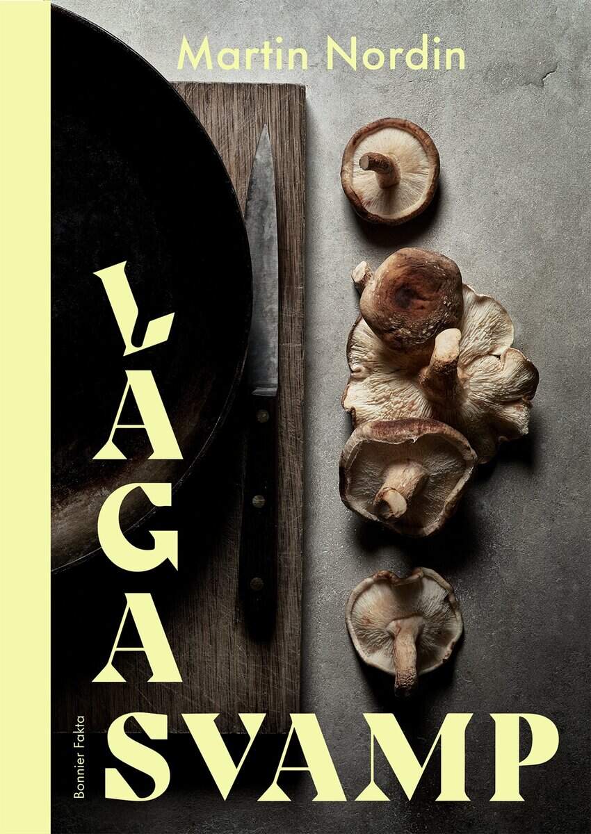 Martin Nordin : Laga svamp