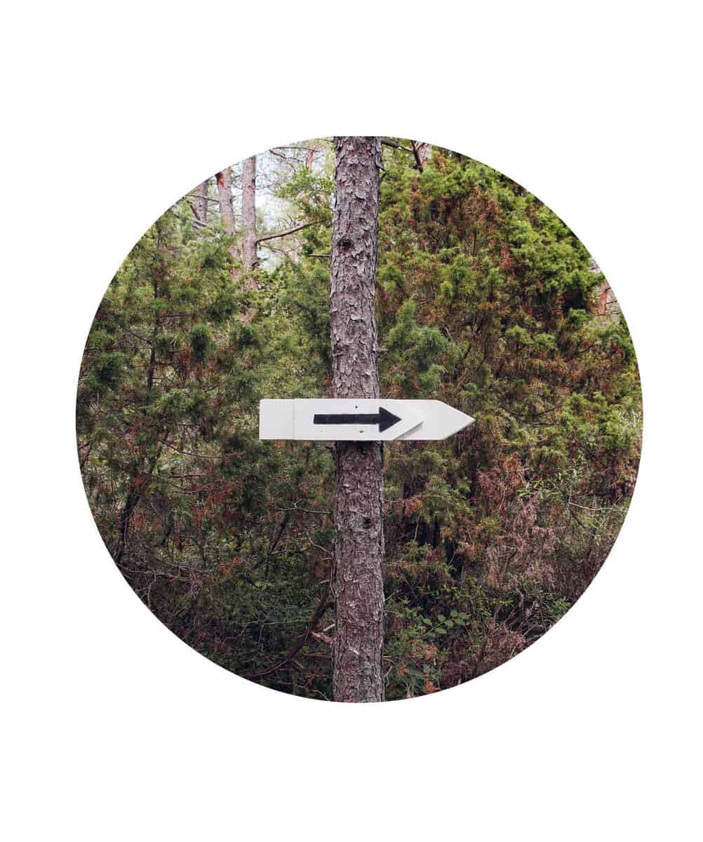 Martin Skoog : Find