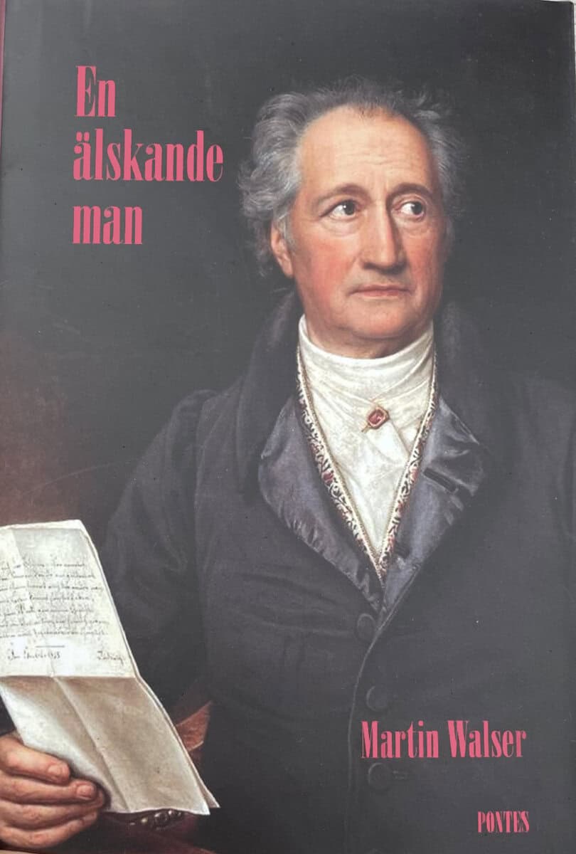Martin Walser : En älskande man