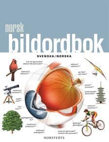 Mathias Thiel : Norsk bildordbok