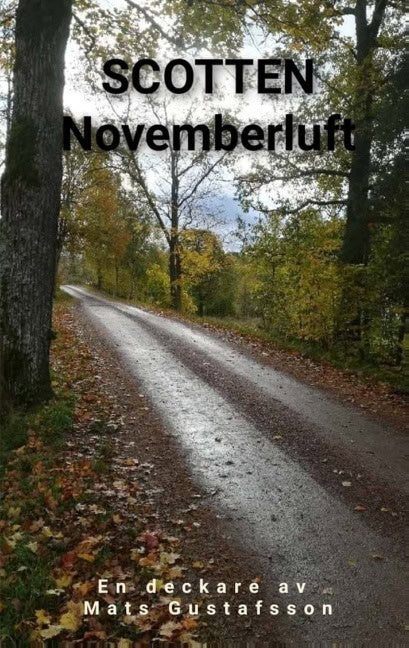 Mats Gustafsson : Novemberluft