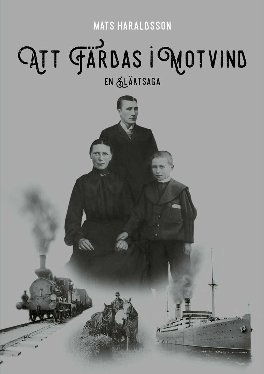 Mats Haraldsson : Att färdas i motvind : en släktsaga