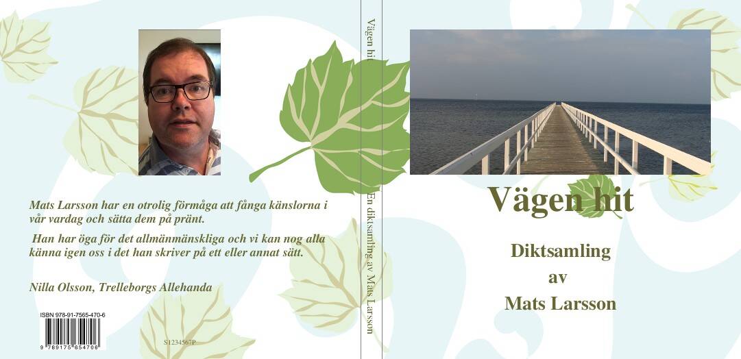 Mats Larsson : Vägen hit