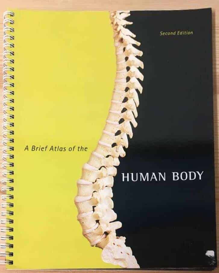 Matt Hutchinson a o : A brief atlas of the human body
