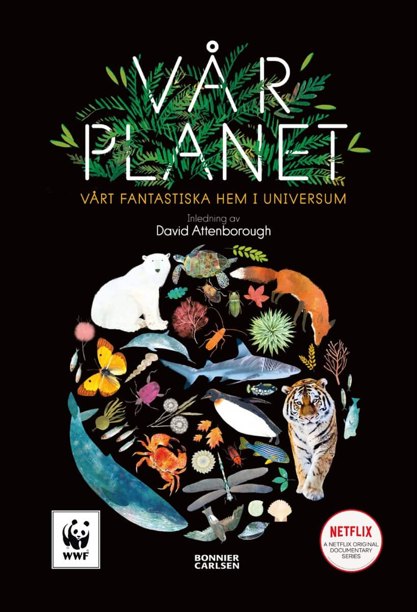 Matt Whyman : Vår planet : vårt fantastiska hem i universum