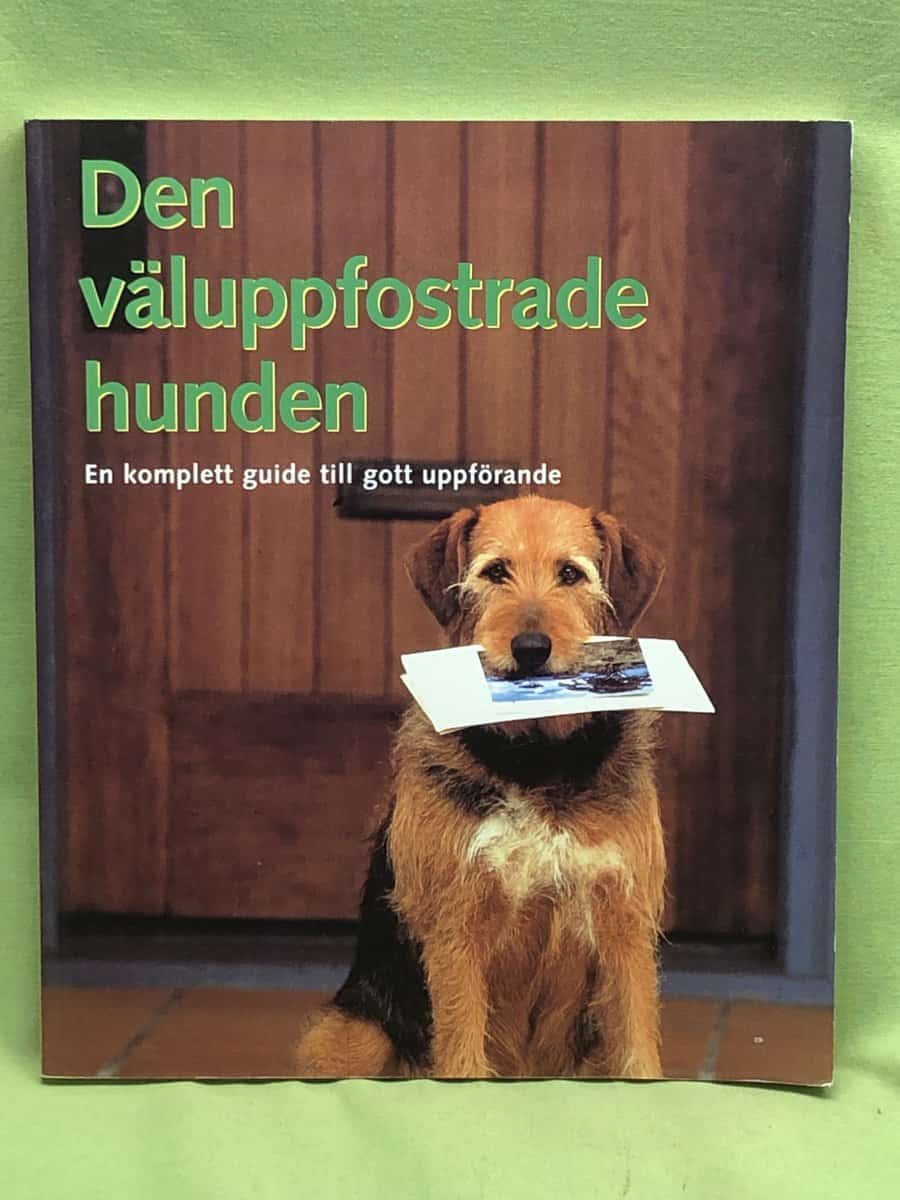 Matthew Hoffman : Den väluppfostrade hunden