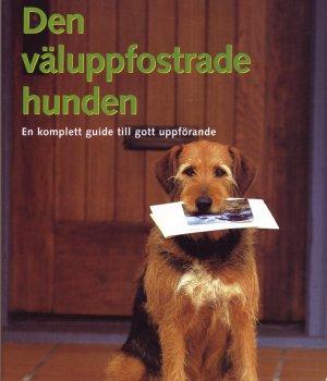 Matthew Hoffman : Den väluppfostrade hunden