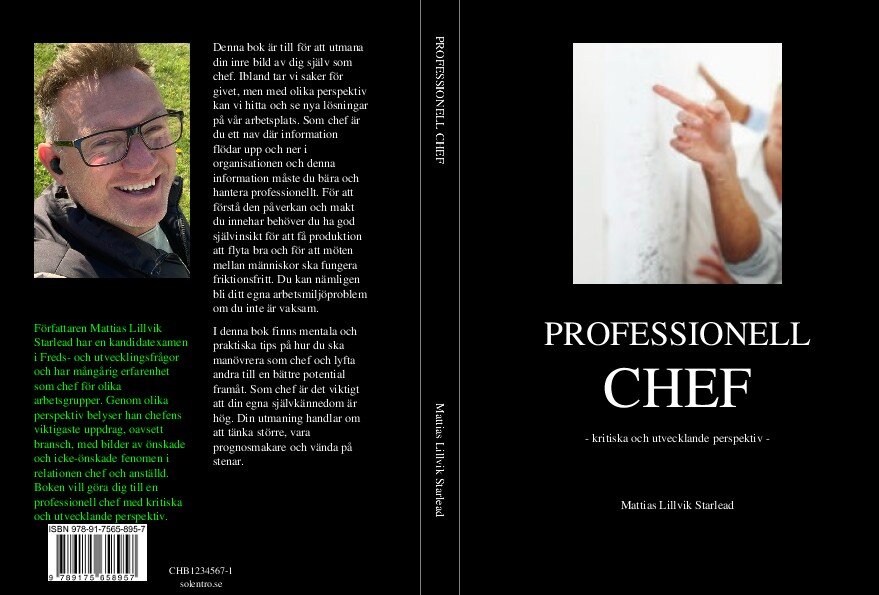 Mattias Lillvik Starlead : Professionell chef : kritiska och utvecklande perspektiv