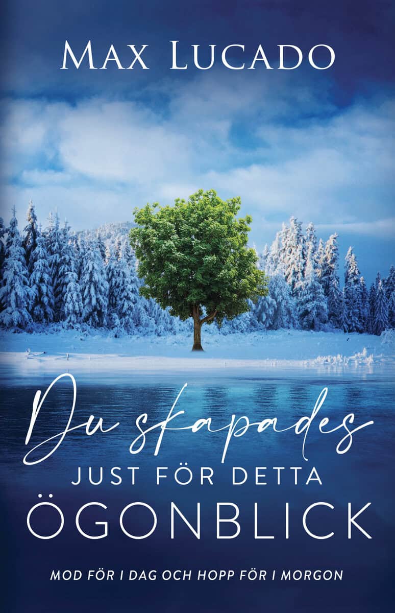 Max Lucado : Du skapades just för detta ögonblick