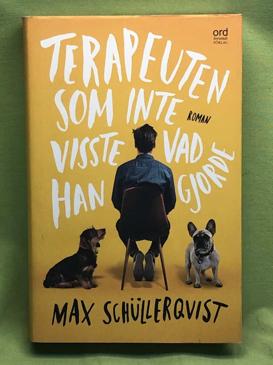 Max Schüllerqvist : Terapeuten som inte visste vad han gjorde