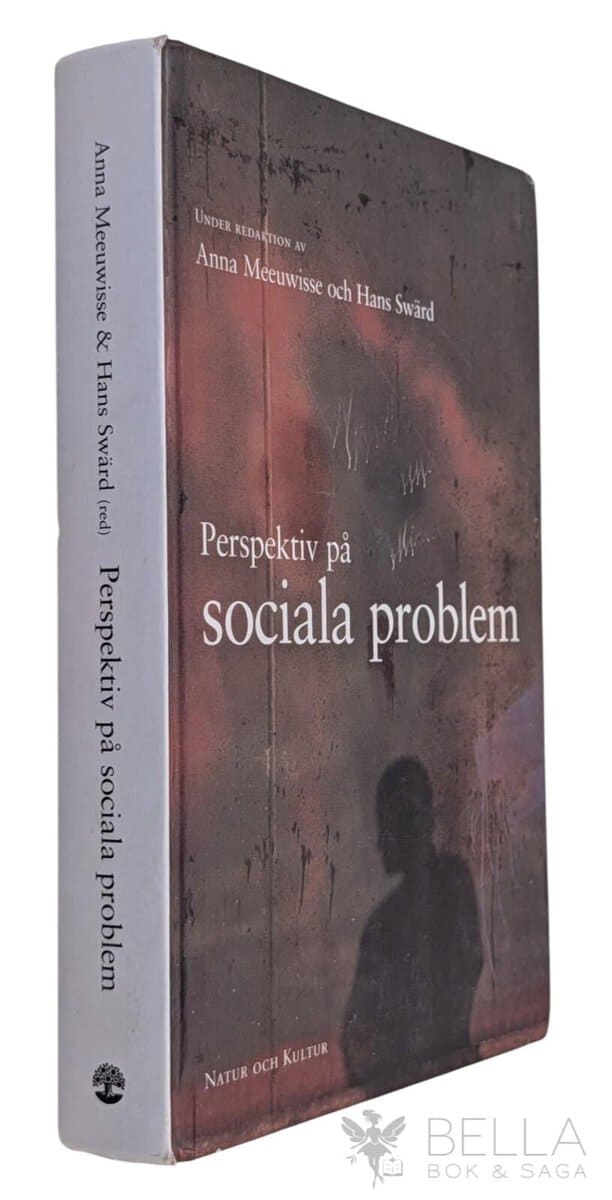 Meeuwisse, Anna [red.] ; Swärd, Hans [red.] : Perspektiv på sociala problem
