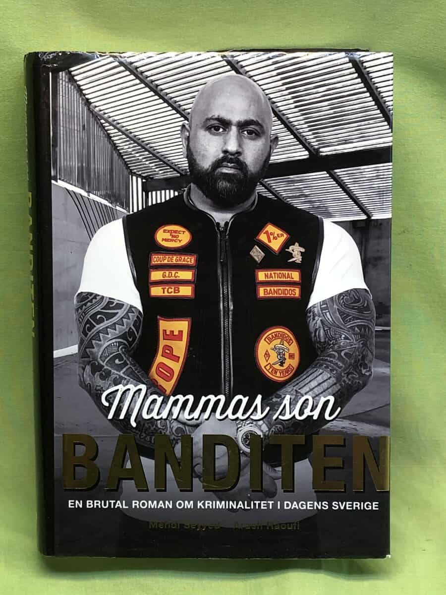 Mehdi Seyyed : Mammas son banditen