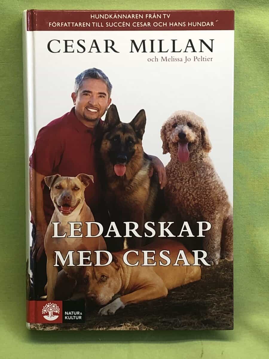 Melissa Jo Peltier Cesar Millan : Ledarskap med Cesar