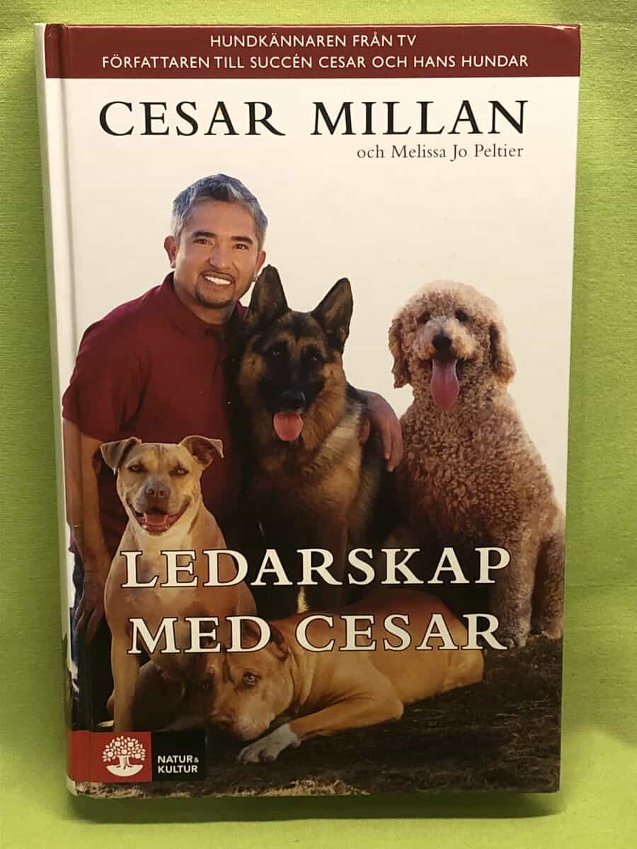 Melissa Jo Peltier Cesar Millan : Ledarskap med Cesar