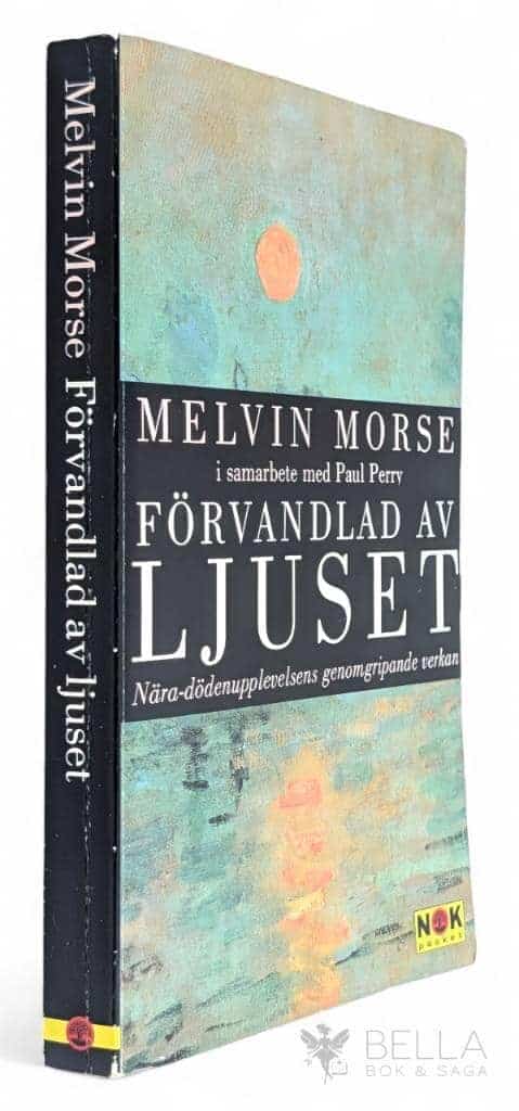 Melvin Morse ; Paul Perry : Förvandlad av ljuset