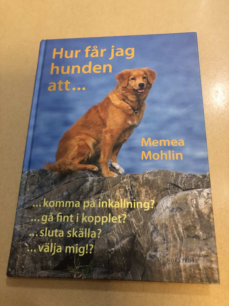 Memea Mohlin : Hur får jag hunden att -? [-komma på inkallning? -gå fint i kopplet? -sluta skälla? -välja mig!?]