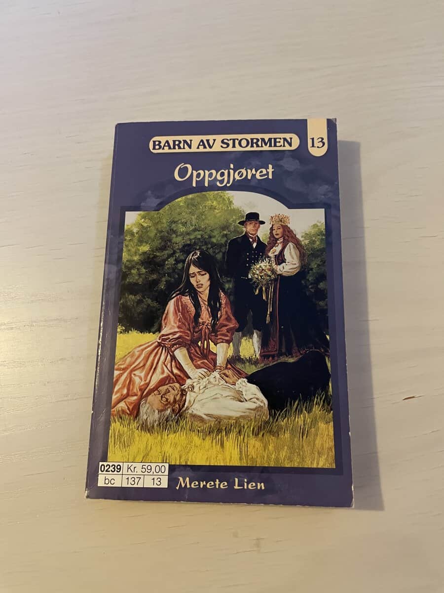 Merete Lien : Barn av stormen 13 - Oppgjöret