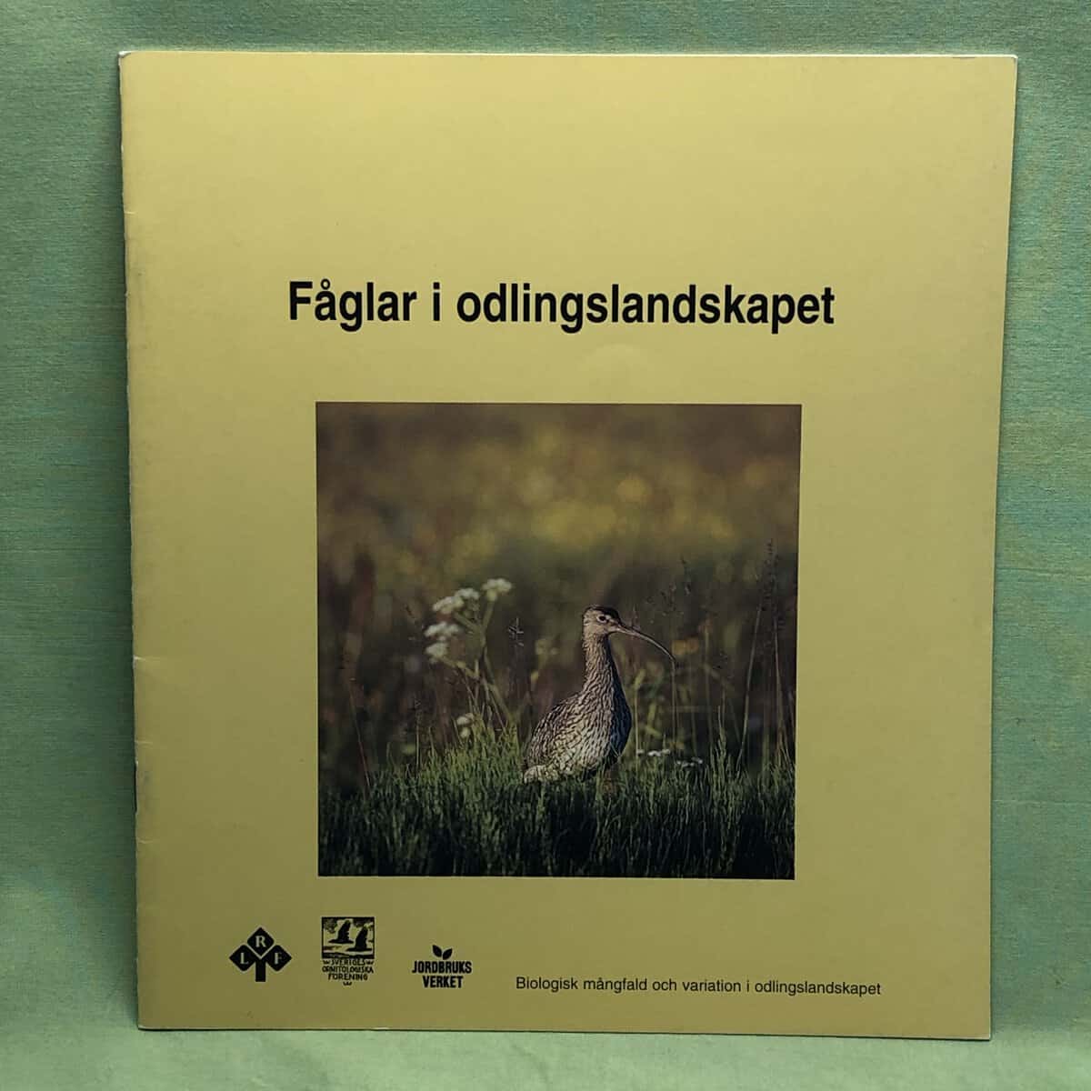 m.fl Daniel Dagernäs : Fåglar i odlingslandskapet