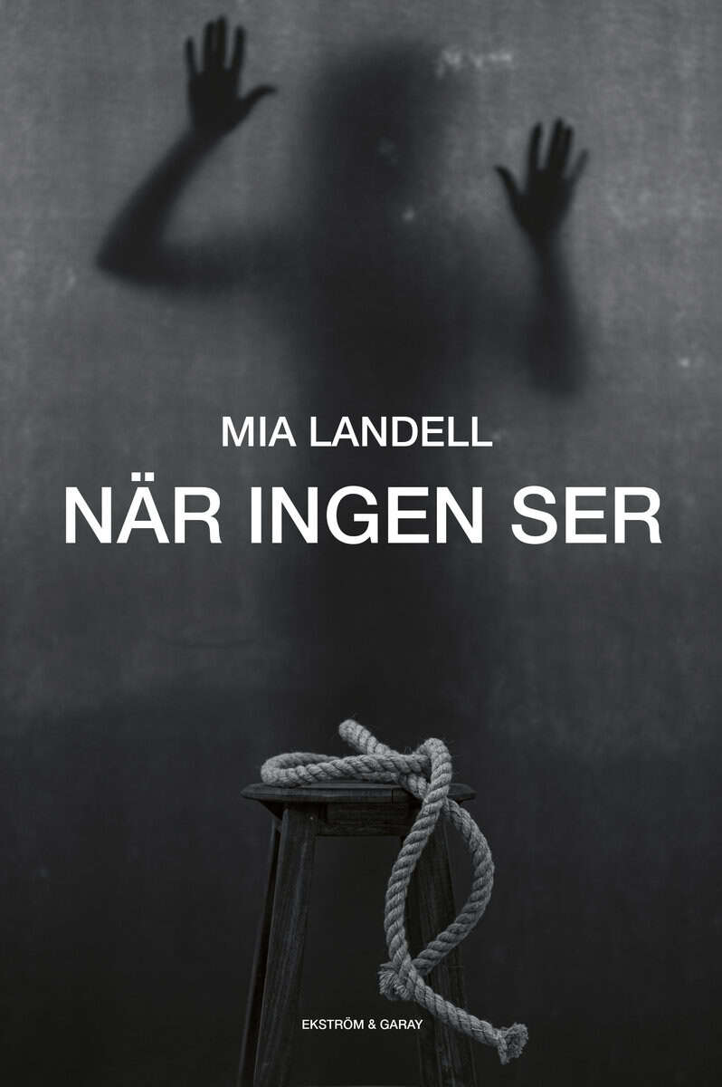 Mia Landell : När ingen ser