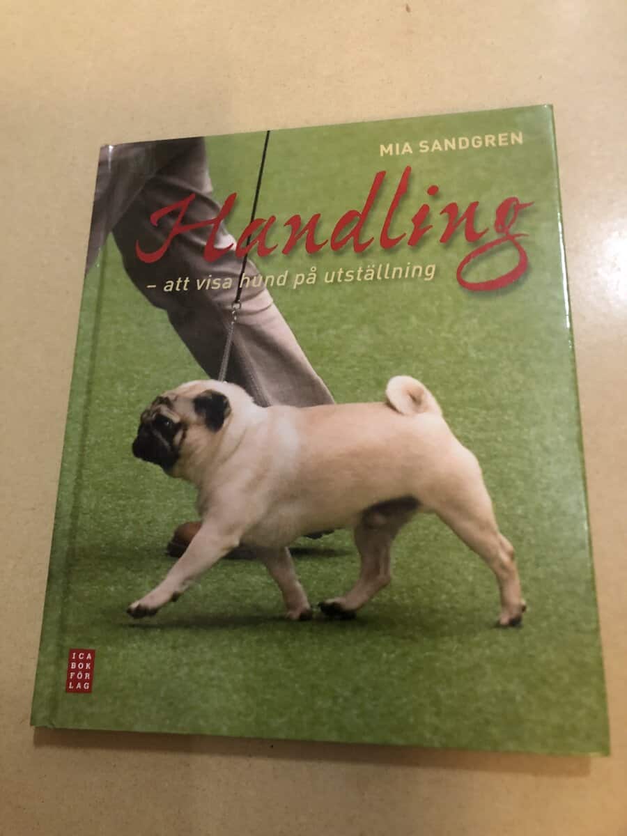 Mia Sandgren : Handling att visa hund på utställning