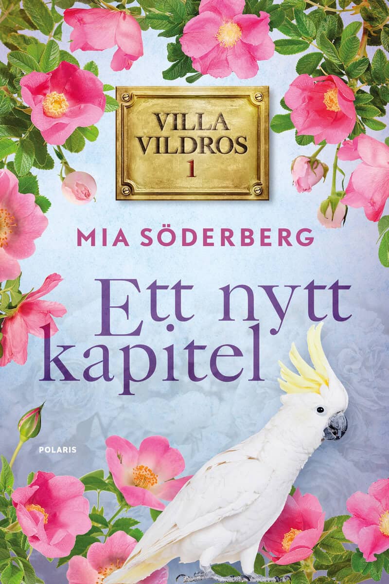 Mia Söderberg : Ett nytt kapitel