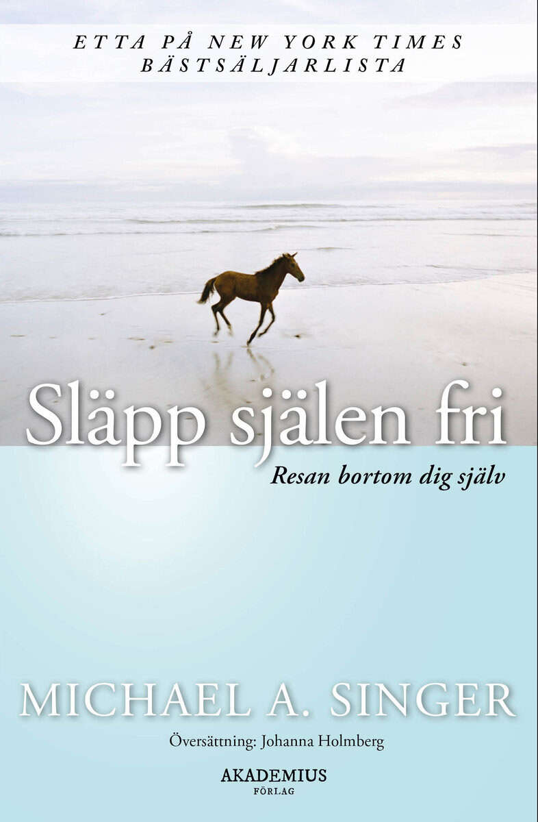 Michael A. Singer : Släpp själen fri : resan bortom dig själv