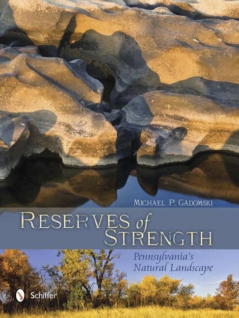 Michael P. Gadomski : Reserves of strength