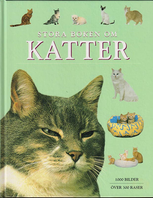 Michael Pollard : Stora boken om katter