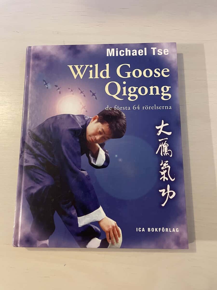 Michael Tse : Wild goose qigong